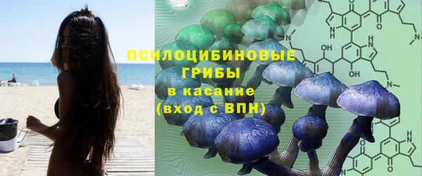 дмт Абаза