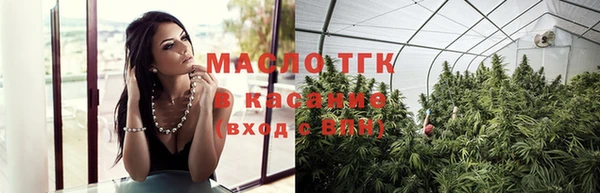 дмт Абаза